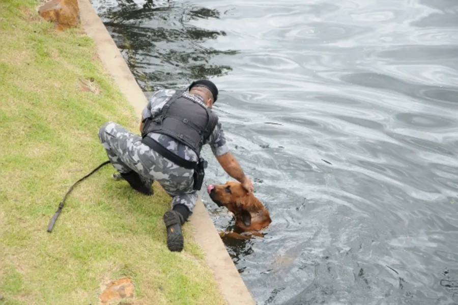 Reforço canino na PM