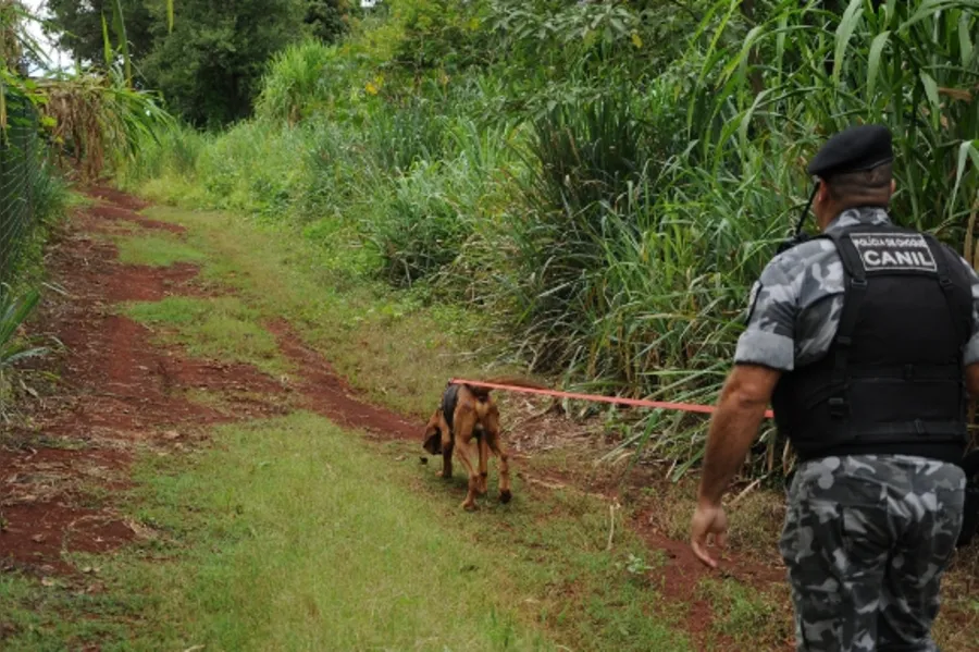 Reforço canino na PM