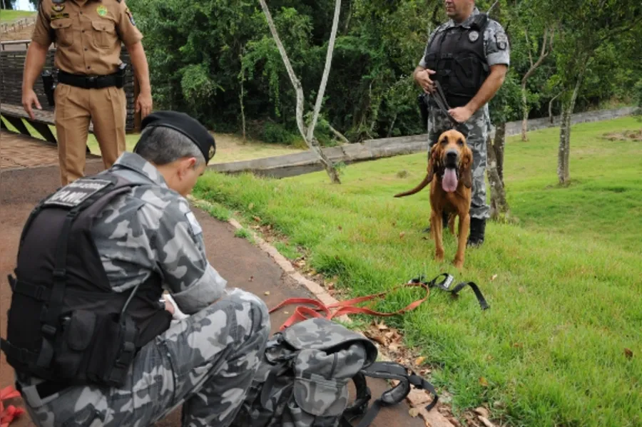 Reforço canino na PM