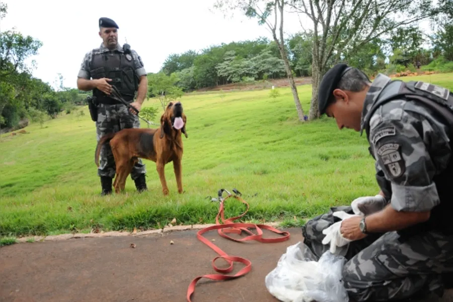 Reforço canino na PM