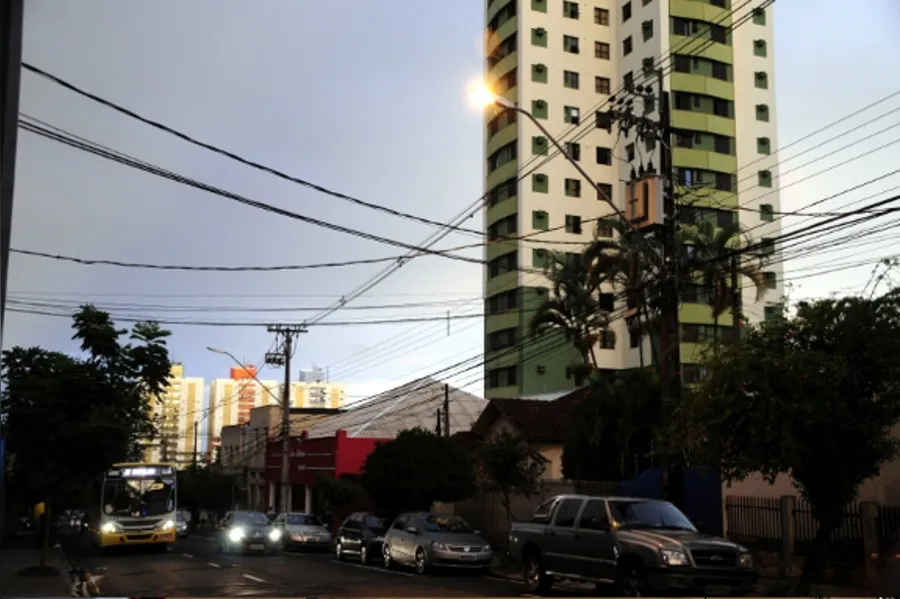 Galeria do dia