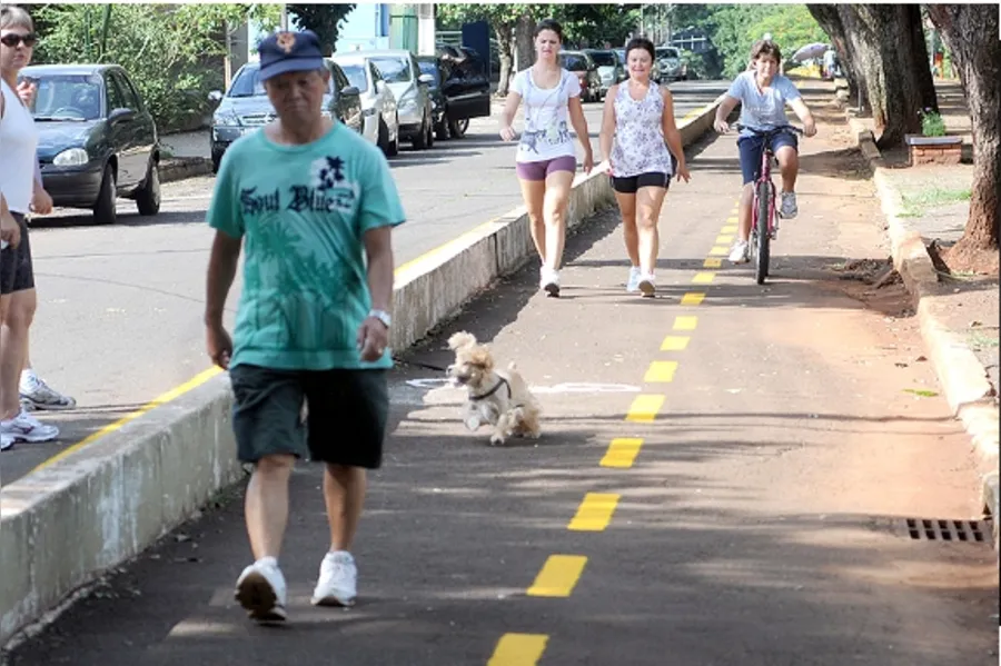Galeria do dia