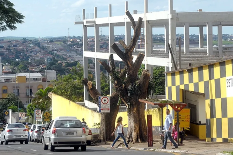Galeria do dia