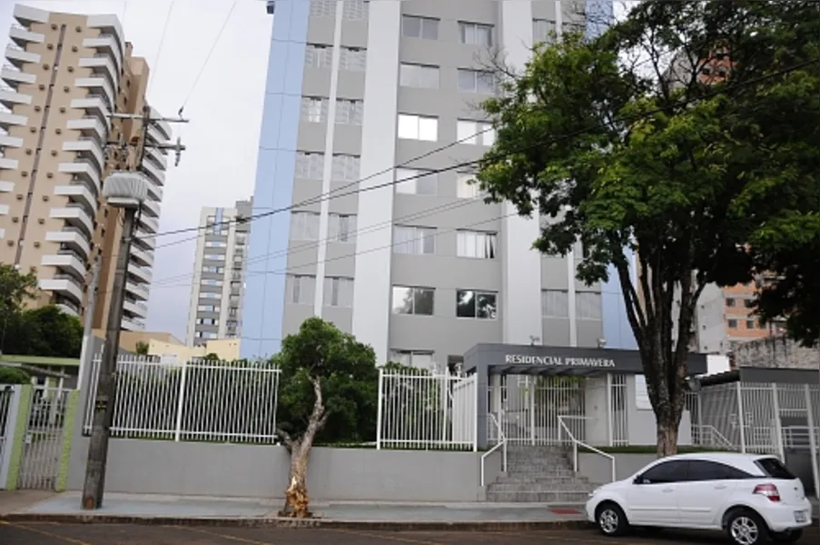 Quedas de árvores: Bombeiros registram 30 chamadas