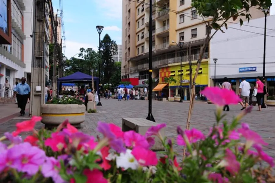 A Londrina que dá certo!
