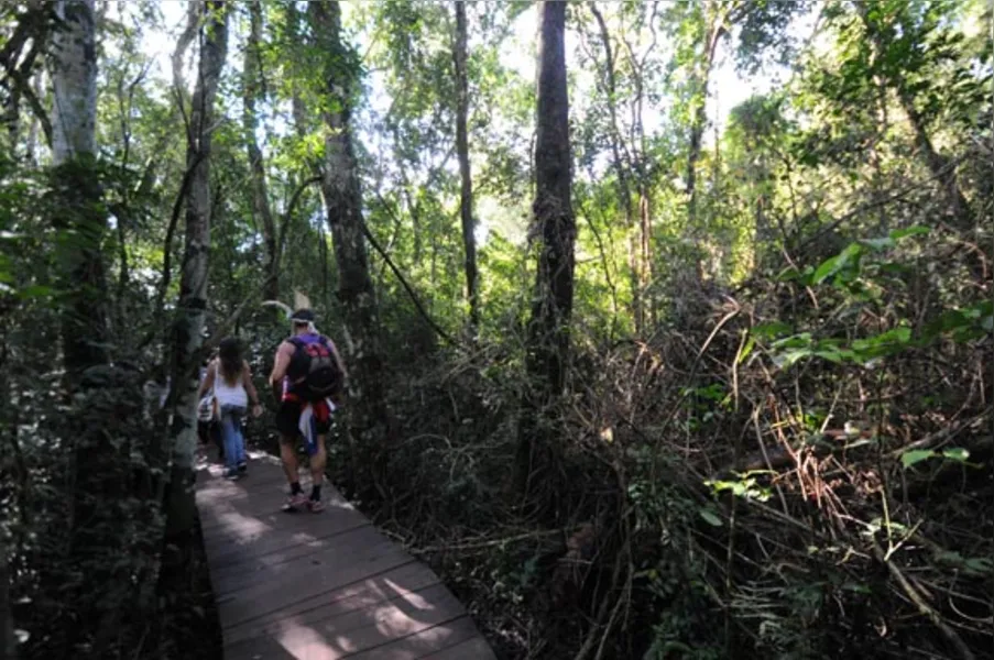 No paraíso das grandes águas