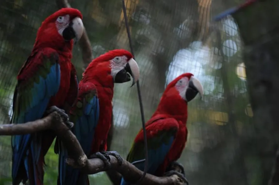No paraíso das grandes águas