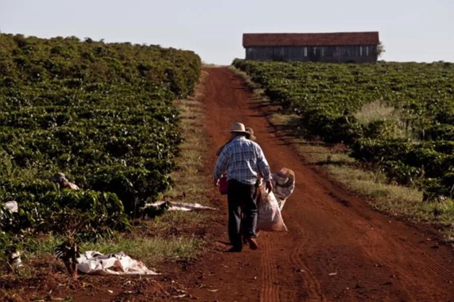 Uma rota de sossego, história e café