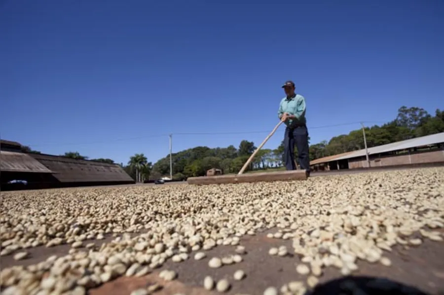 Uma rota de sossego, história e café