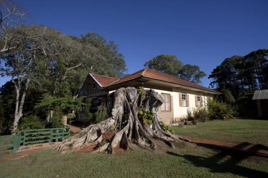 Uma rota de sossego, história e café