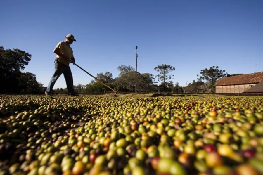 Uma rota de sossego, história e café