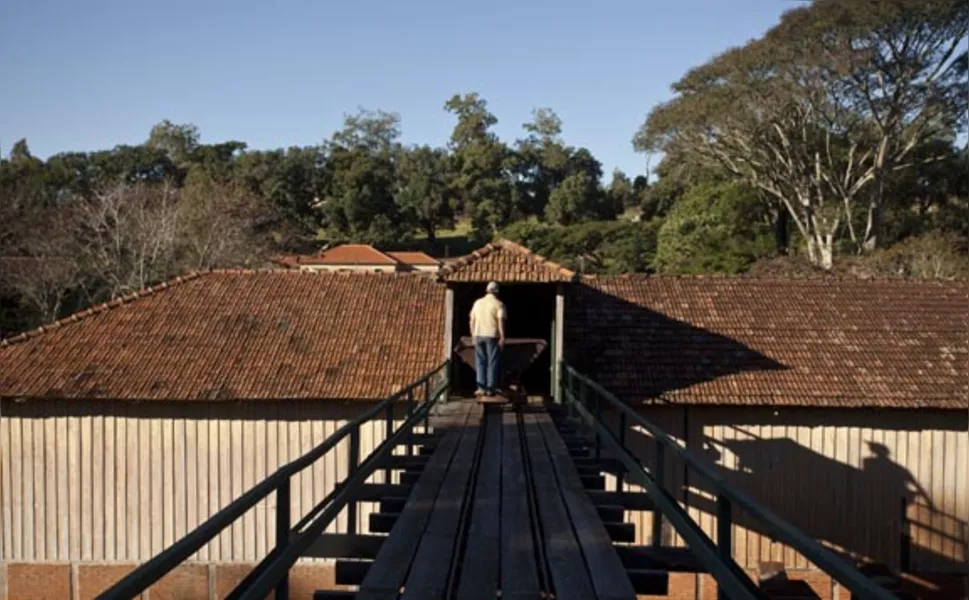 Uma rota de sossego, história e café