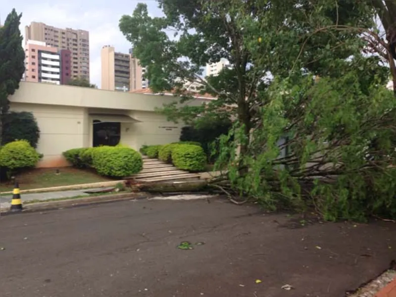 Galeria de fotos: confira mais imagens e relatos de internautas