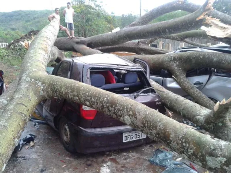 Galeria de fotos: confira mais imagens e relatos de internautas
