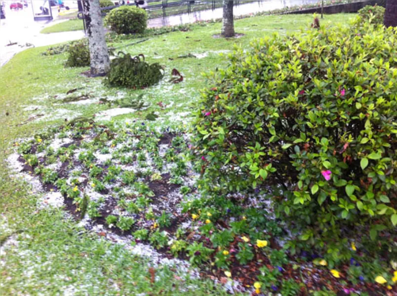 Chuva causa transtornos em Londrina e Curitiba