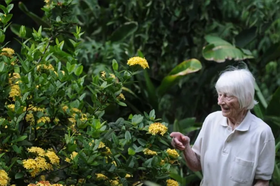 Jardins botânicos informais