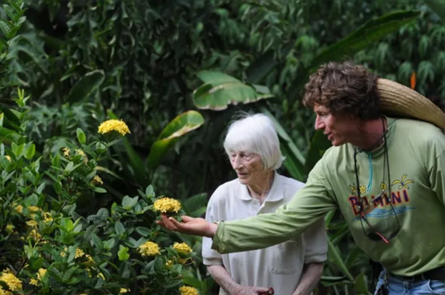 Jardins botânicos informais