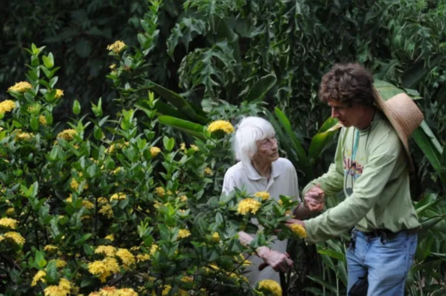 Jardins botânicos informais
