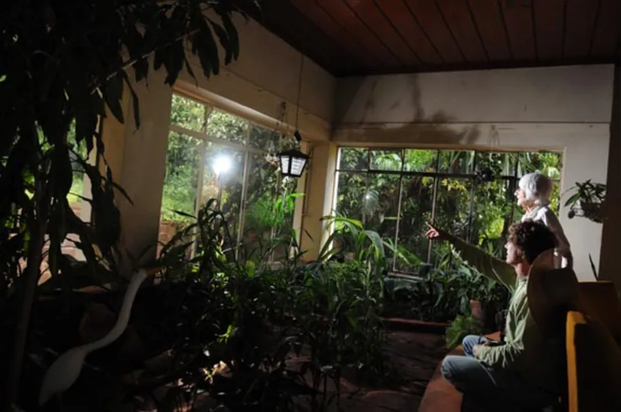 Jardins botânicos informais
