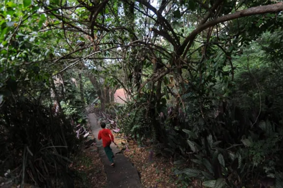 Jardins botânicos informais