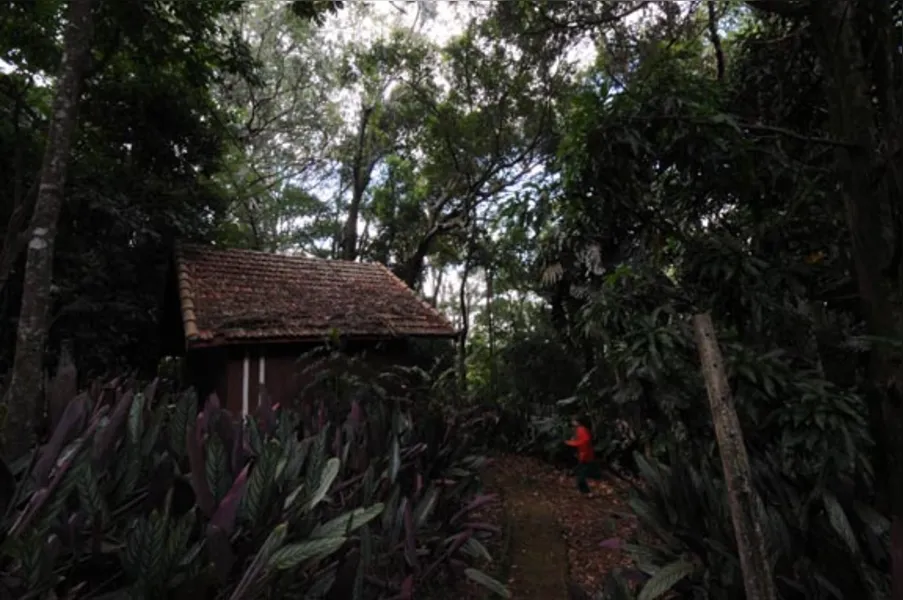 Jardins botânicos informais