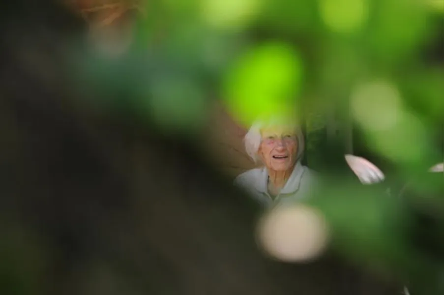 Jardins botânicos informais