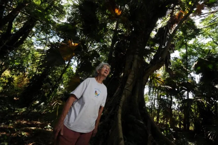 Jardins botânicos informais