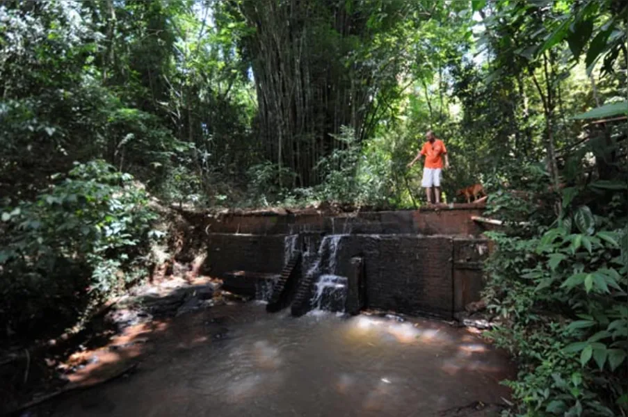 Jardins botânicos informais