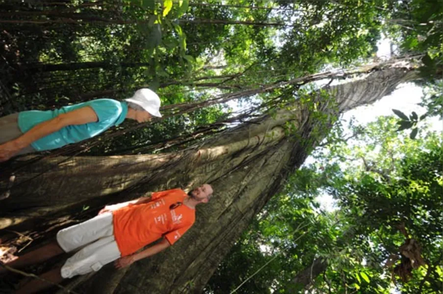 Jardins botânicos informais