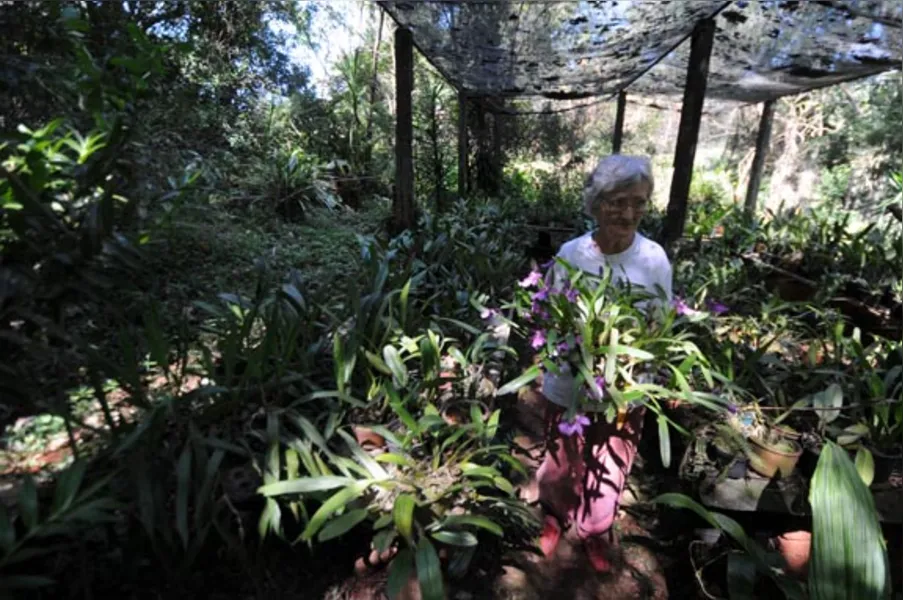 Jardins botânicos informais