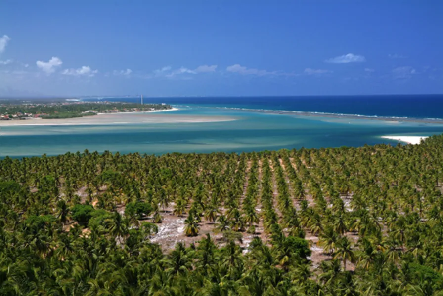 Exuberante Alagoas