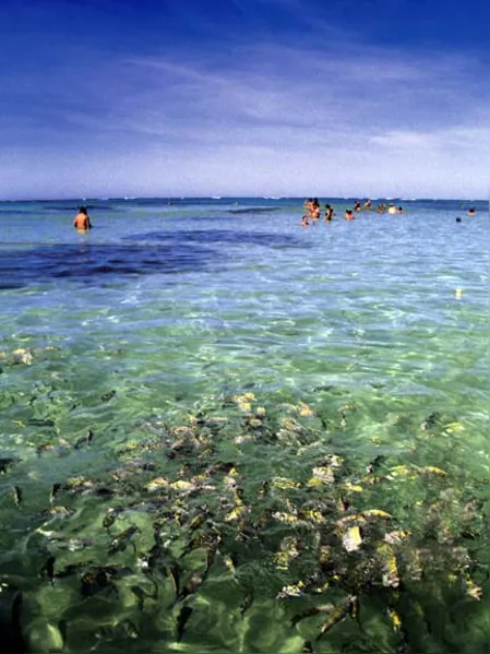 Exuberante Alagoas