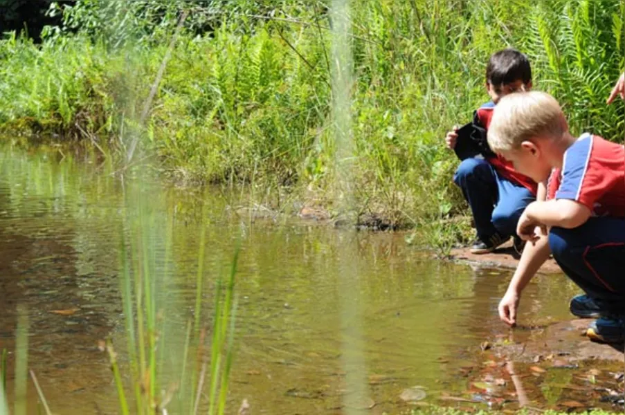 Aprendendo com a diversidade da natureza