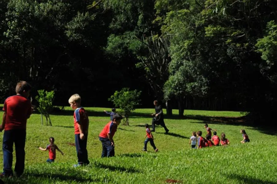 Aprendendo com a diversidade da natureza