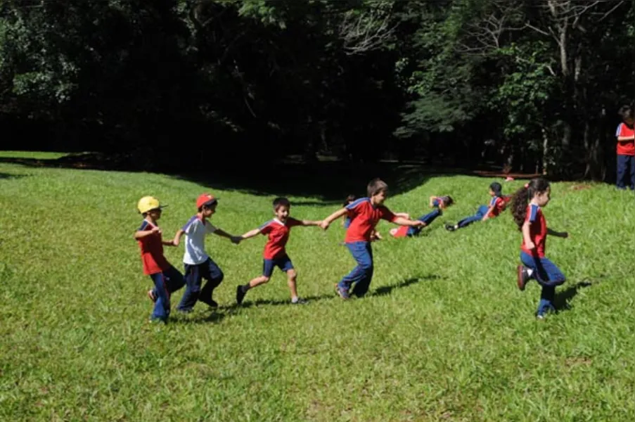 Aprendendo com a diversidade da natureza