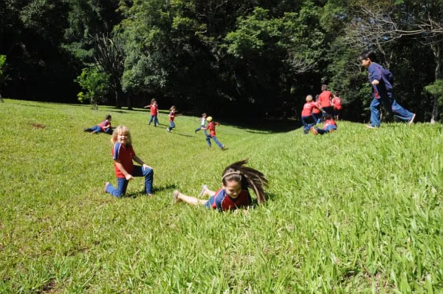 Aprendendo com a diversidade da natureza