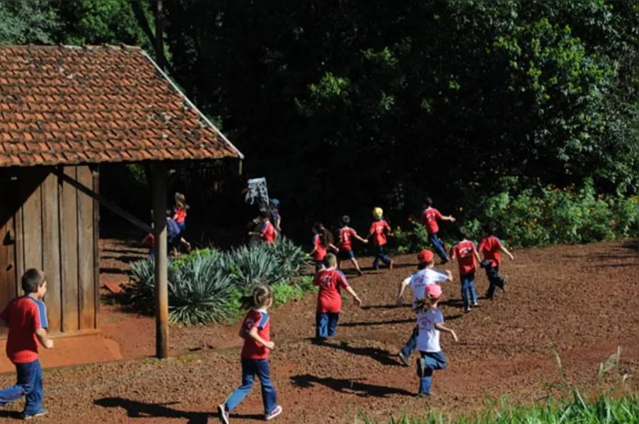 Aprendendo com a diversidade da natureza