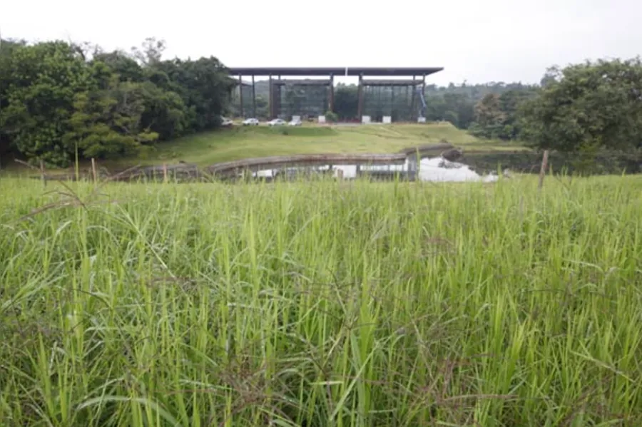 Jardim Botânico de Londrina enfrenta falta de funcionários