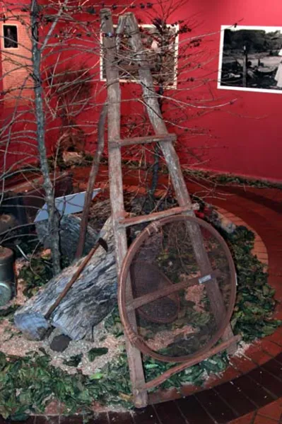 Café desaparece das lavouras paranaenses