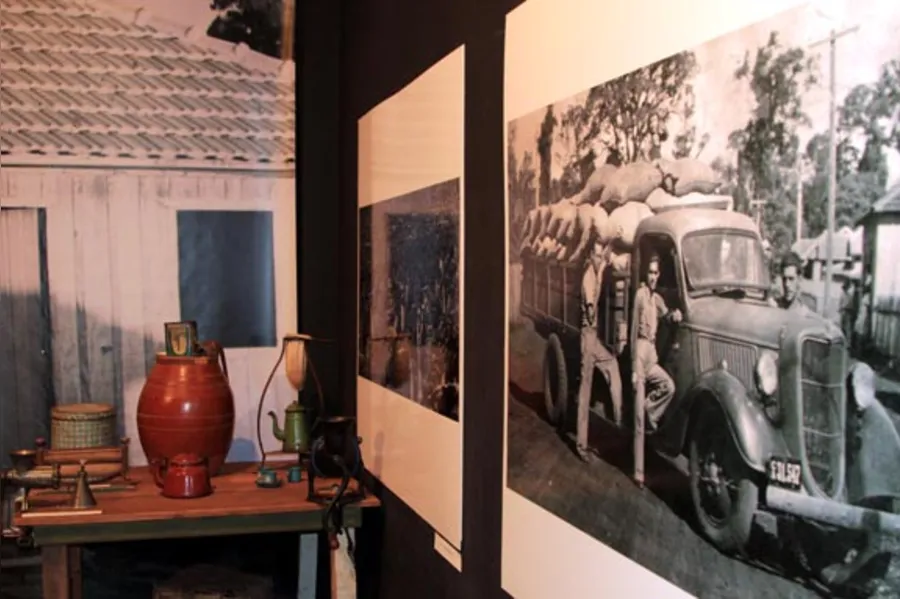 Café desaparece das lavouras paranaenses