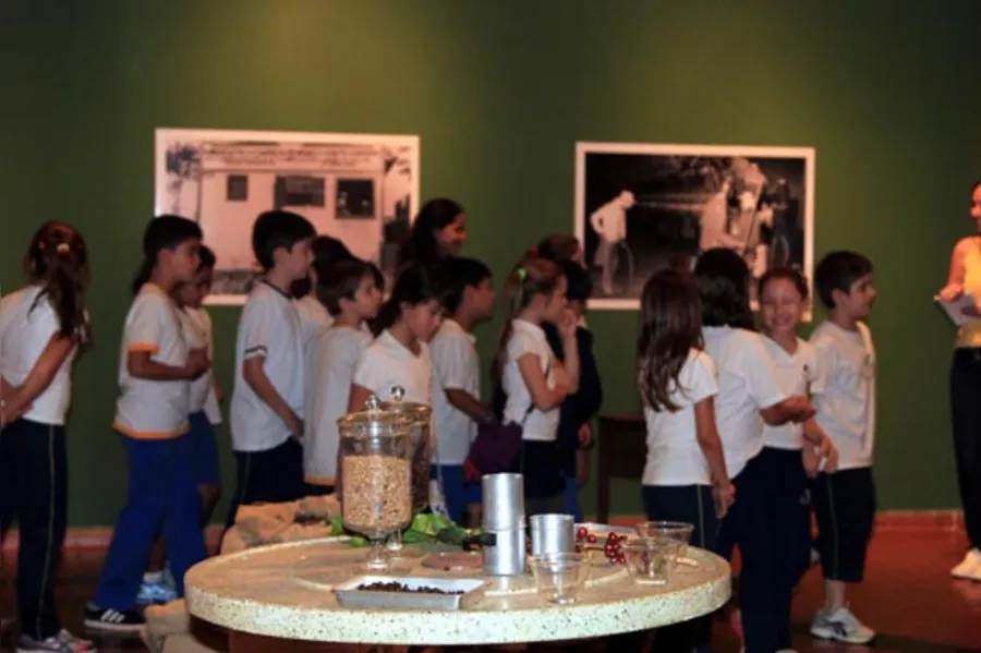 Café desaparece das lavouras paranaenses