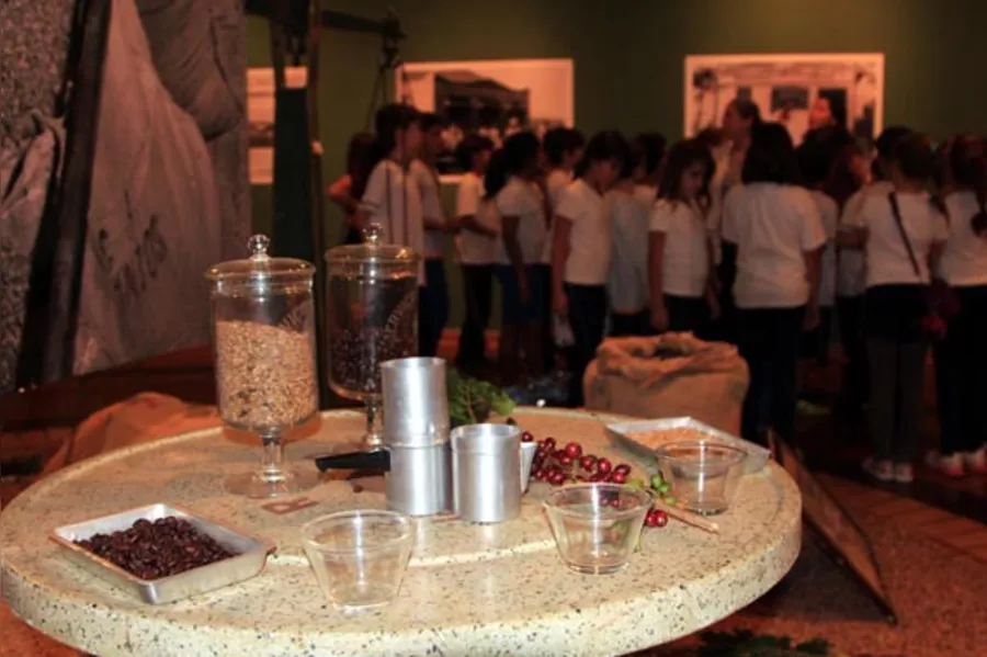 Café desaparece das lavouras paranaenses