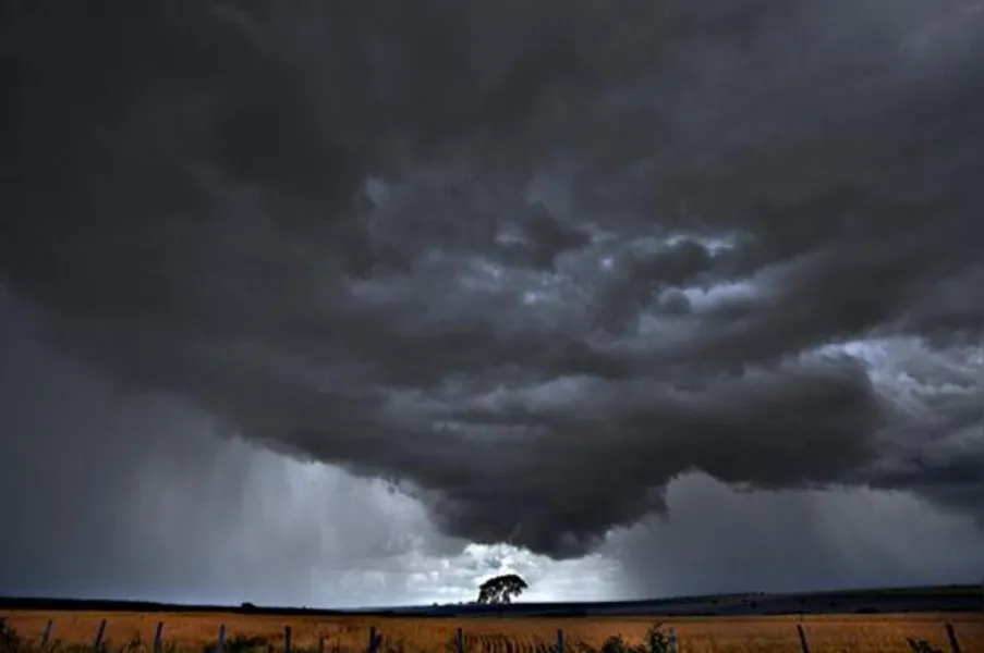 Imagens do Campo