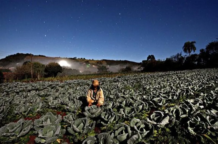 Imagens do Campo