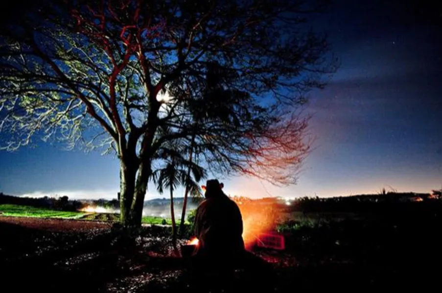 Imagens do Campo
