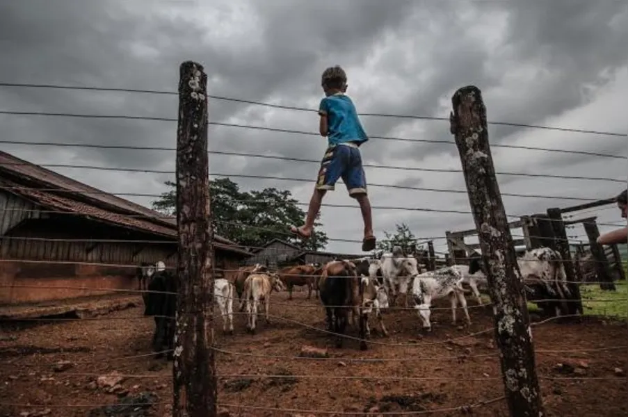 Imagens do Campo