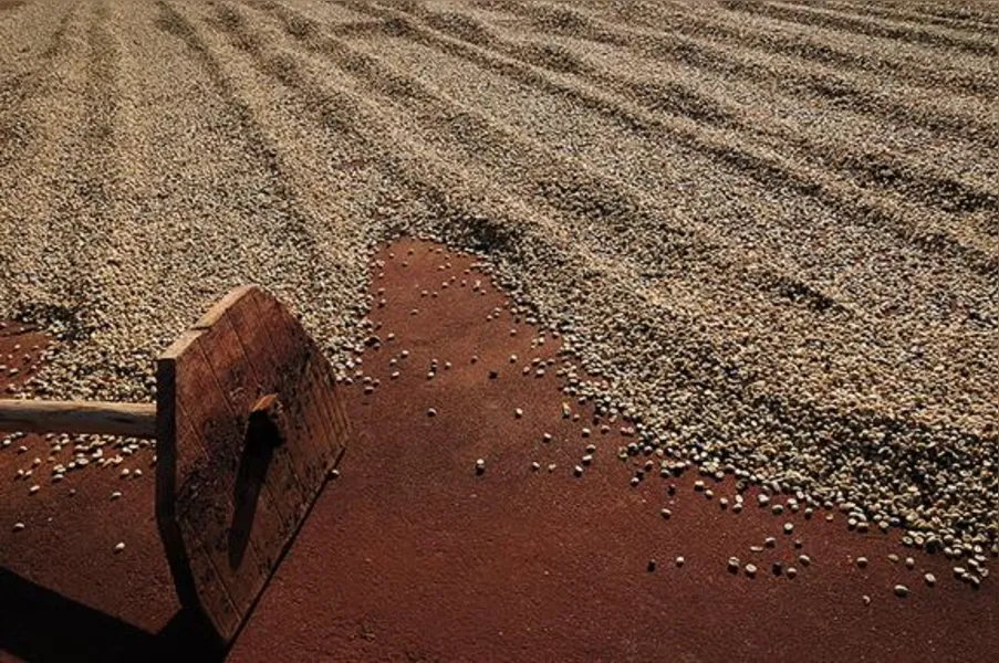 Imagens do Campo