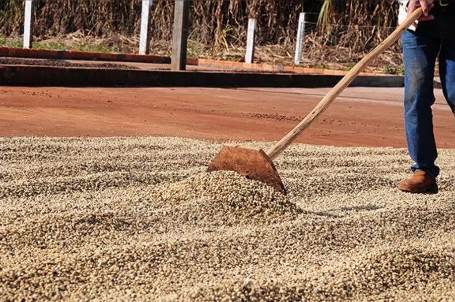 Imagens do Campo