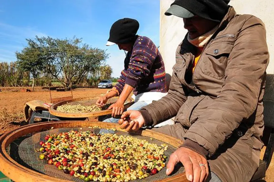 Imagens do Campo
