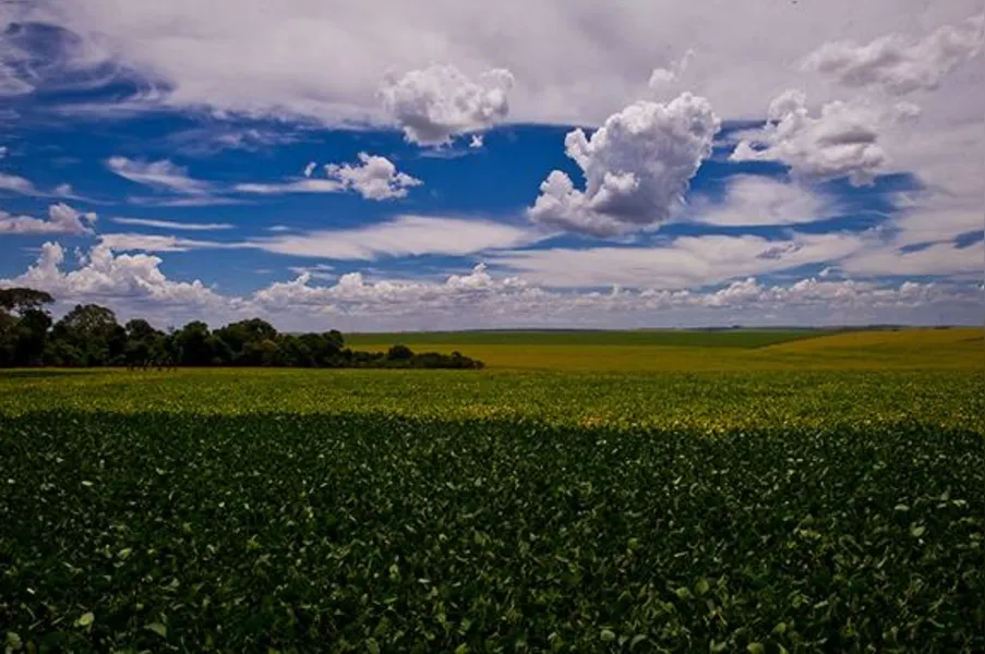 Imagens do Campo